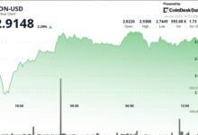 TON Up 3% After Volatile Session, Establishes New Support Level