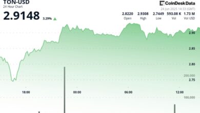 TON Up 3% After Volatile Session, Establishes New Support Level