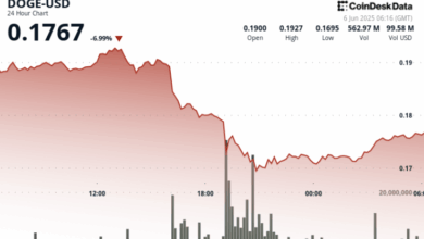 What Next for Dogecoin as Trump-Musk Feud Intensifies