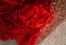Bitcoin (BTC) Treasury News: Lingerie Fighting Championships Joins