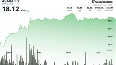 AVAX Up 8% Despite Short-Term Resistance