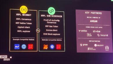 Ripple News XRP Ledger's Ethereum-Compaitable Sidechain to Go Live in Q2
