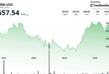 BNB Price Climb in V-Shaped Rebound as Trump-Musk Spat Uncertainty Fades