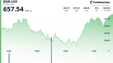 BNB Price Climb in V-Shaped Rebound as Trump-Musk Spat Uncertainty Fades