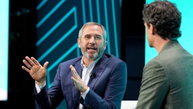 Ripple's Brad Garlinghouse Says CRCL IPO Signals U.S. Stablecoin Regulation Ahead