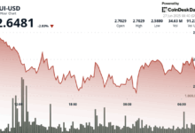 SUI Recovers as Nasdaq-Listed Lion Group Says It Wants to Buy SUI, HYPE, and SOL