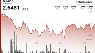 SUI Recovers as Nasdaq-Listed Lion Group Says It Wants to Buy SUI, HYPE, and SOL