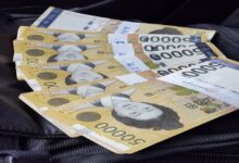 Bank of Korea Halts Digital Currency Project