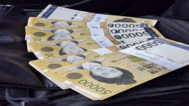 Bank of Korea Halts Digital Currency Project