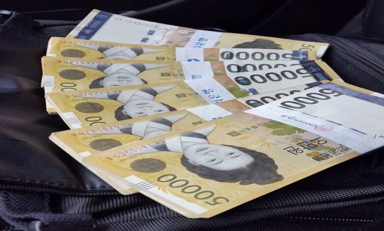Bank of Korea Halts Digital Currency Project