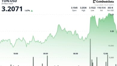 TON Surges 3%, Outperforming CoinDesk 20