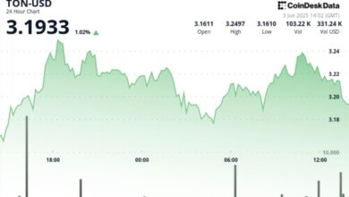 TON Struggles Against $3.24 Resistance Level, Settles at $3.18