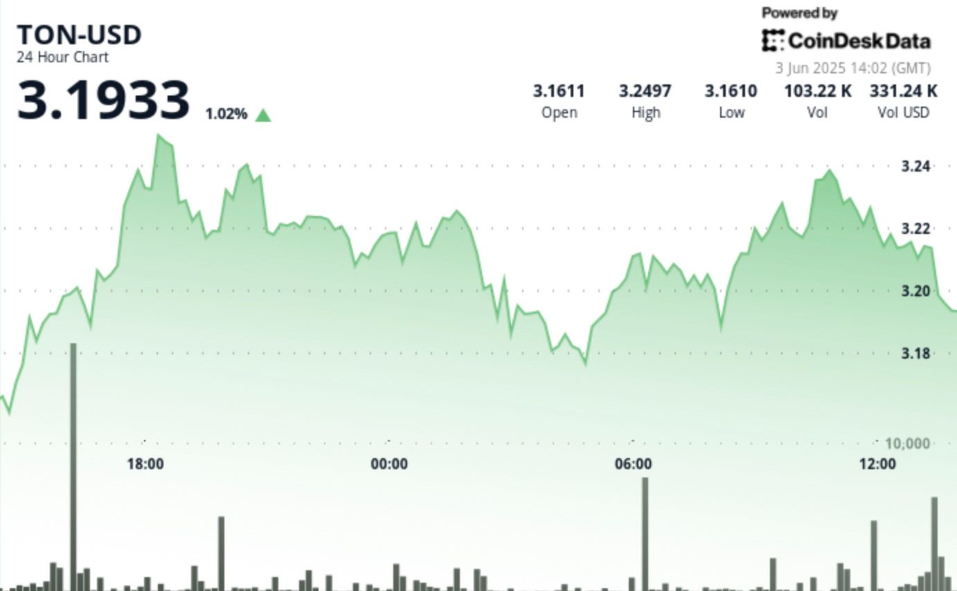 TON Struggles Towards $3.24 Resistance Degree, Settles at $3.18 TON Struggles Against $3.24 Resistance Level, Settles at $3.18
