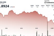 TON Price Drops 3.1% as Volatility Rocks Crypto Market