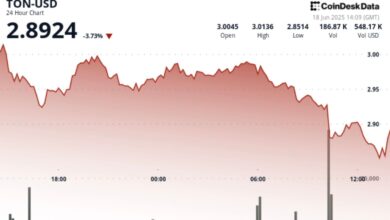 TON Price Drops 3.1% as Volatility Rocks Crypto Market