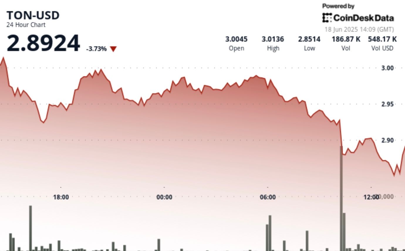 TON Value Drops 3.1% as Volatility Rocks Crypto Market TON Price Drops 3.1% as Volatility Rocks Crypto Market