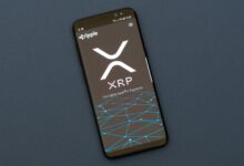 XRP Ledger Release Brings These New Features and Upgradess