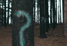 CryptoQuant Warns of $92K Bitcoin Drop as Analyst Views Diverge