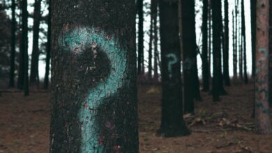 CryptoQuant Warns of $92K Bitcoin Drop as Analyst Views Diverge