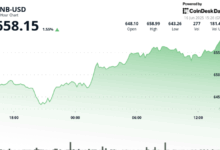 BNB Climbs as Transaction Activity Surges and DEX Volume Tops $100B