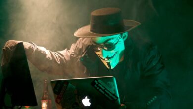Nobitex's Source Code Released a Day After Hacker Steals Tokens Across Bitcoin, EVM, Ripple Networks