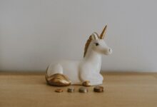 Branded and Established Stablecoins Are Not Competitors; They’re a Power Combo