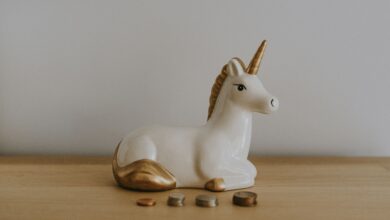 Branded and Established Stablecoins Are Not Competitors; They’re a Power Combo