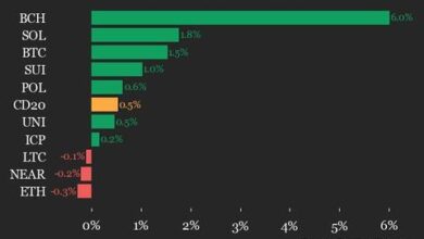 Bitcoin Cash (BCH) Gains 6.0%, Leading Index Higher