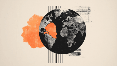 OECD cuts US and global GDP as Trump trade war hits growth outlook
