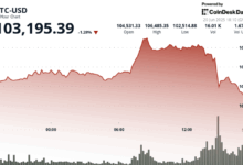 Bitcoin's Plunge Below $103K Spurs Liquidation Wave