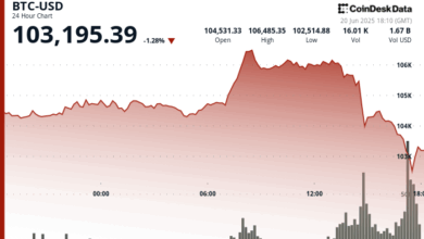 Bitcoin's Plunge Below $103K Spurs Liquidation Wave