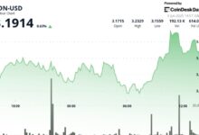 TON Surges 2.7% on Massive Volume Before Sharp Reversal