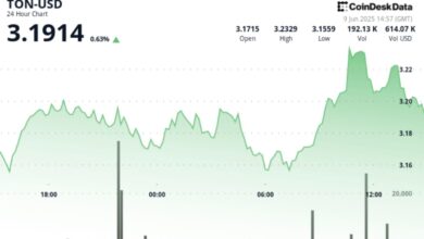 TON Surges 2.7% on Massive Volume Before Sharp Reversal