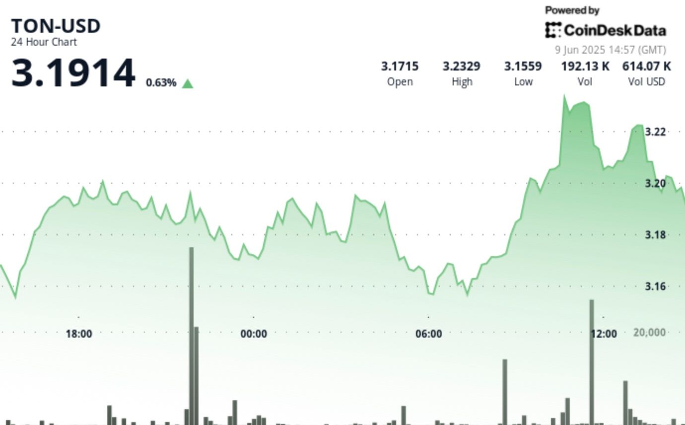 TON Surges 2.7% on Huge Quantity Earlier than Sharp Reversal TON Surges 2.7% on Massive Volume Before Sharp Reversal