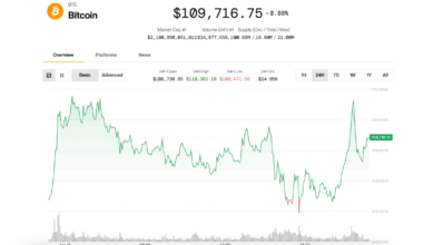 Bitcoin Price (BTC) News: Testing $110K Level Again