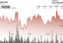 Dogecoin Bulls Defend 16 Cent Support Amid Elon Musk’s X Payments Speculation