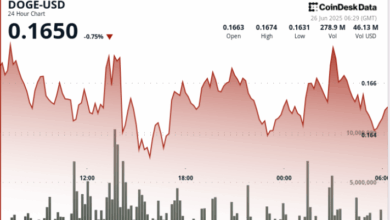 Dogecoin Bulls Defend 16 Cent Support Amid Elon Musk’s X Payments Speculation