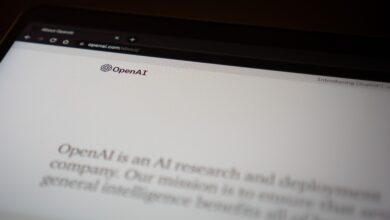 Cynthia Lummis Proposes RISE Act, an AI Bill Requiring Transparency for Legal Immunity