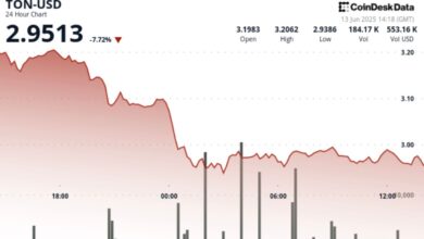 TON Down 8% After Israel Strikes Iran