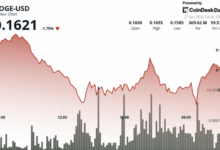 DOGE Finds Support Around 16 Cents After 6% Drop