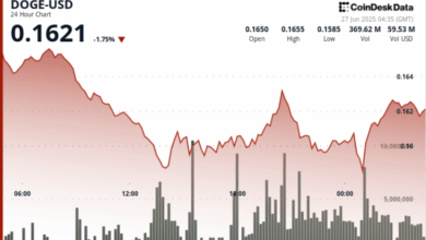 DOGE Finds Support Around 16 Cents After 6% Drop