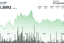 SUI News: Prices Pops Then Drops