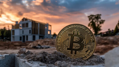 Average US house prices fall 99% in a decade when priced in Bitcoin