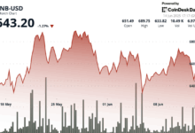 BNB Price Shows Resilience After Israel-Iran Clash Sparks Risk Asset Flight