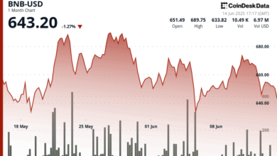 BNB Price Shows Resilience After Israel-Iran Clash Sparks Risk Asset Flight
