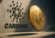 Solana co-founder calls Cardano's proposed $100M treasury move to Bitcoin 'so dumb'