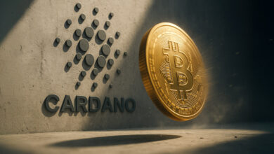 Solana co-founder calls Cardano's proposed $100M treasury move to Bitcoin 'so dumb'
