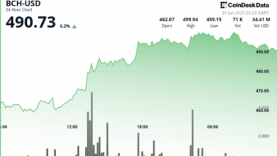 BCH Stages Surprise Run to Near $500 as Volumes Spike 500%
