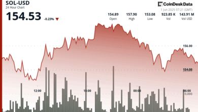 SOL Hovers Near $154 After Support Break as Liquidations Rise