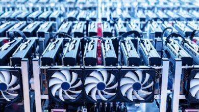 Shares Soar 25% on Buyout Talks